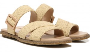 Dr Scholl's Women's Paradise Now Slide Sandal Beige Sandals 922-3068