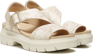 Dr Scholl's Women's Take Off Brown Sandals 432-7669