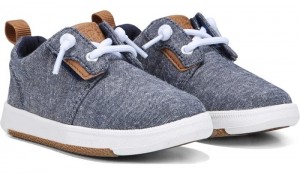 Dr Scholl's Boys Stinsen Sneaker Navy Shoes 841-6263