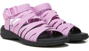 Dr Scholl's Women's Tegua Sandal Purple Sandals 140-3650