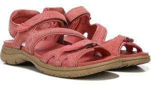 Dr Scholl's Women's Adelle 4 Sandal Rose Sandals 812-0975