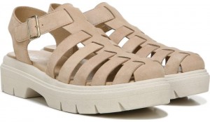Dr Scholl's Women's Cannot Wait Sandal Sand Leather Sandals 009-2438